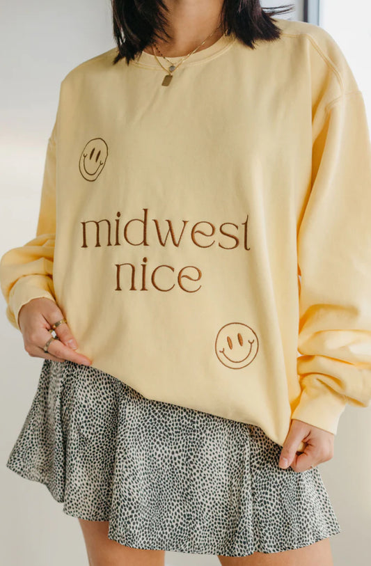 Midwest Nice Hoodie